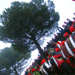 Festa Major